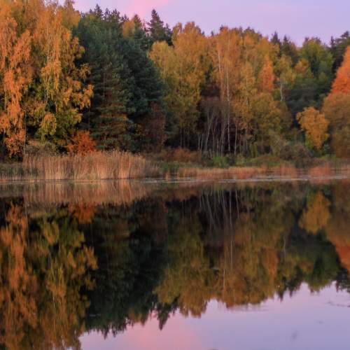 Photo #8216230