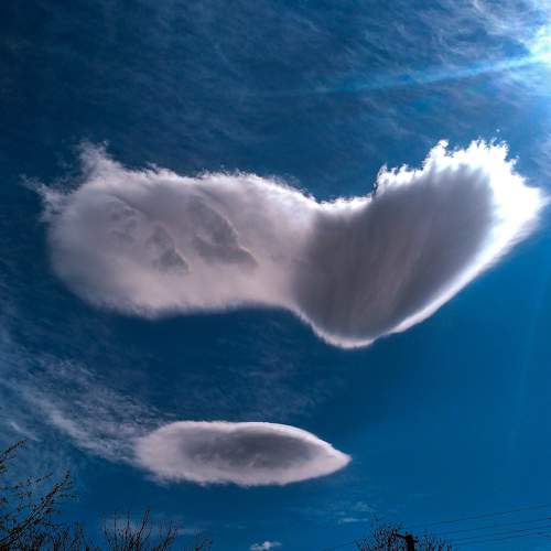 Photo #8216446