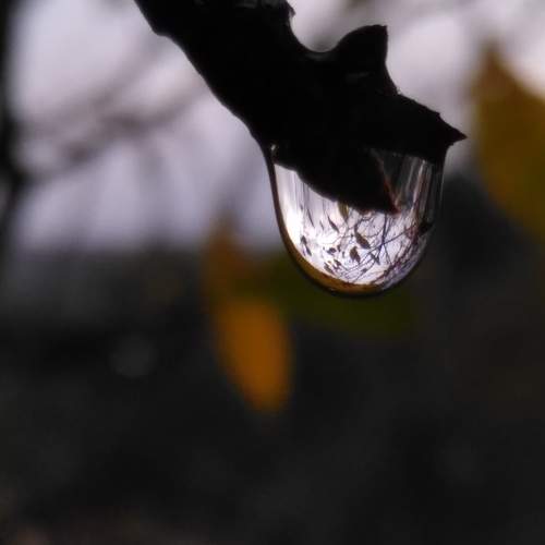Photo #8216661