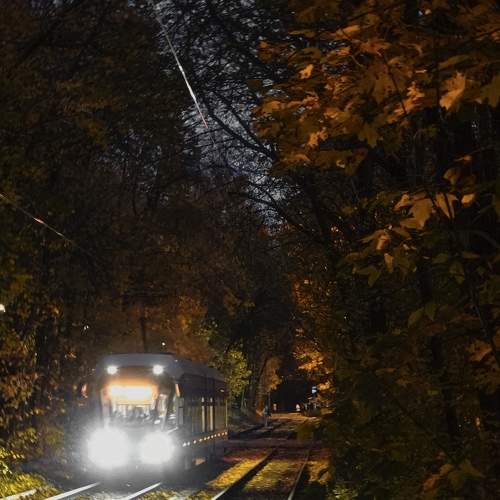 Photo #8216890