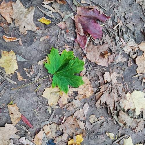 Photo #8216978