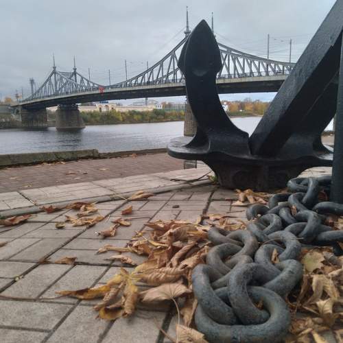 Photo #8217127