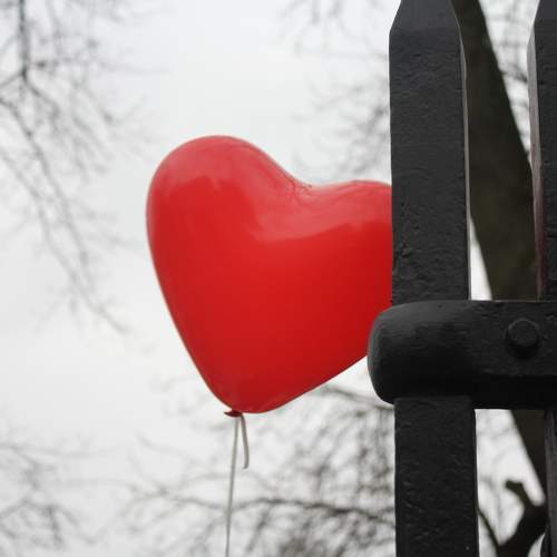 Photo #8217174