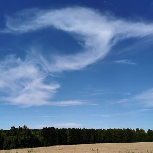 Photo #8217256
