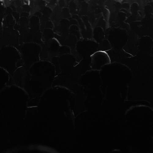 Photo #8218118