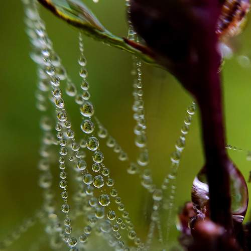 Photo #8218186