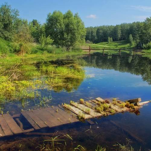 Photo #8218506