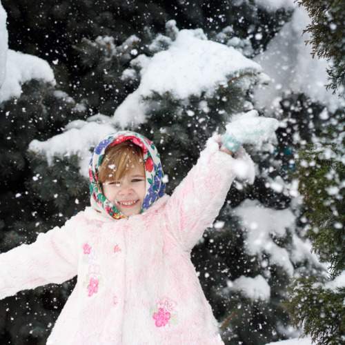 Photo #8218808