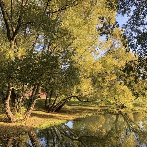 Photo #8218931