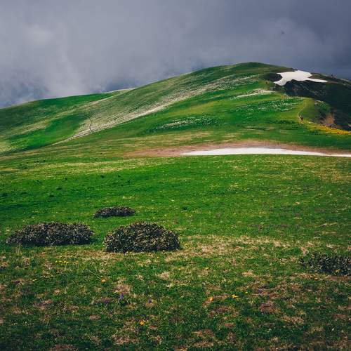 Photo #8219103