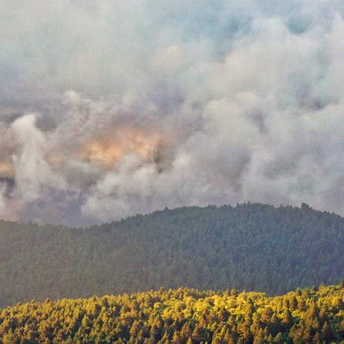 Photo #8219109