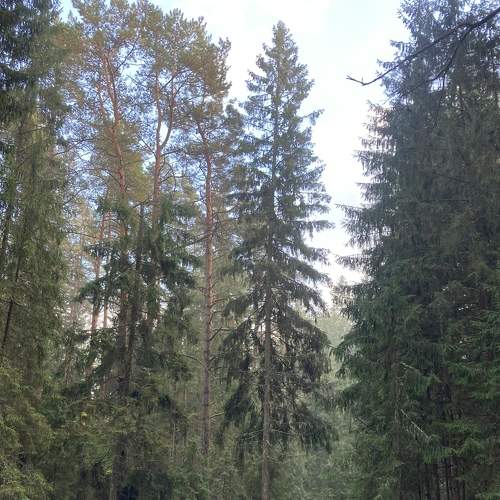 Photo #8219242