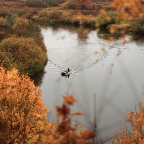 Photo #8219250