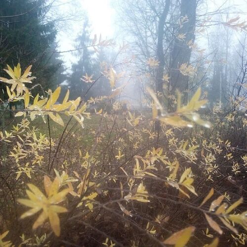 Photo #8219331