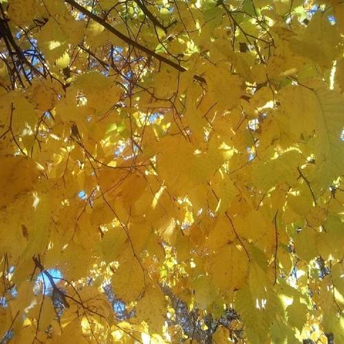 Photo #8219360