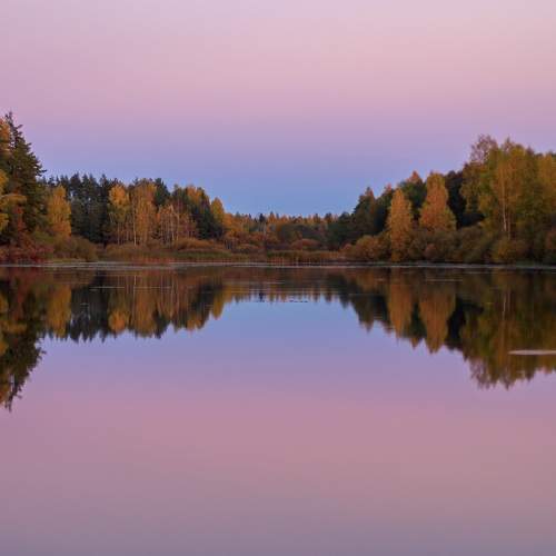 Photo #8219375