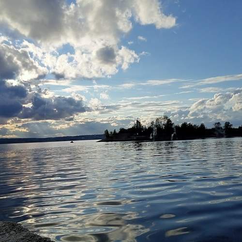 Photo #8219450