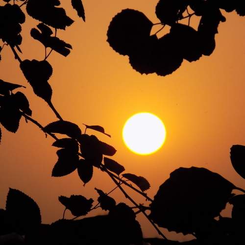 Photo #8219752