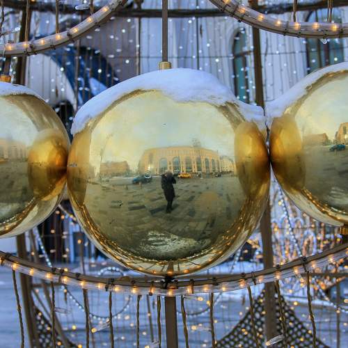 Photo #8219786