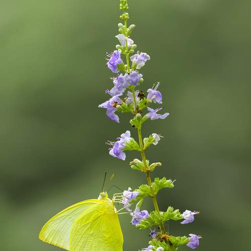 Фотография #8219900