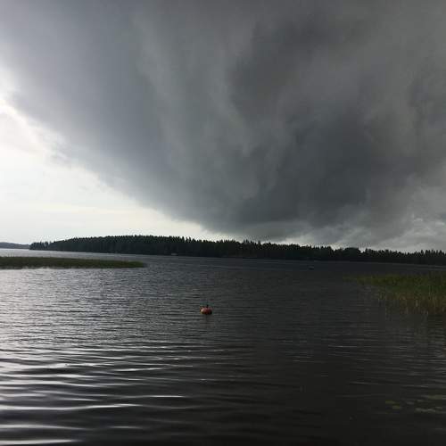 Photo #8220397