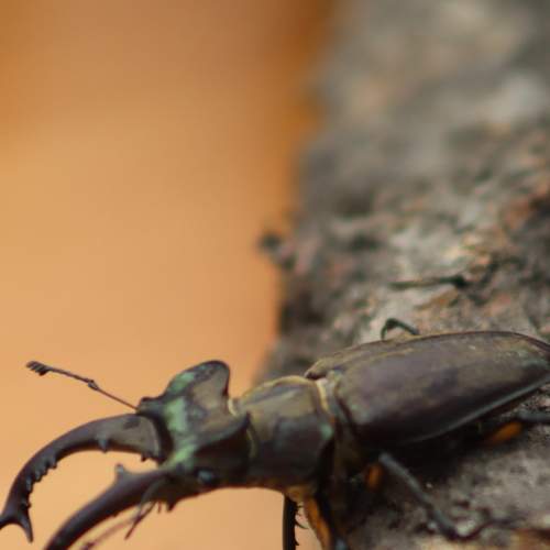 Photo #8220449