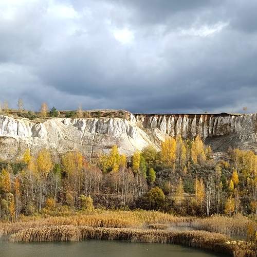 Photo #8220455