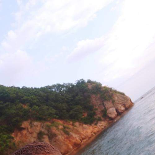 Photo #8220461