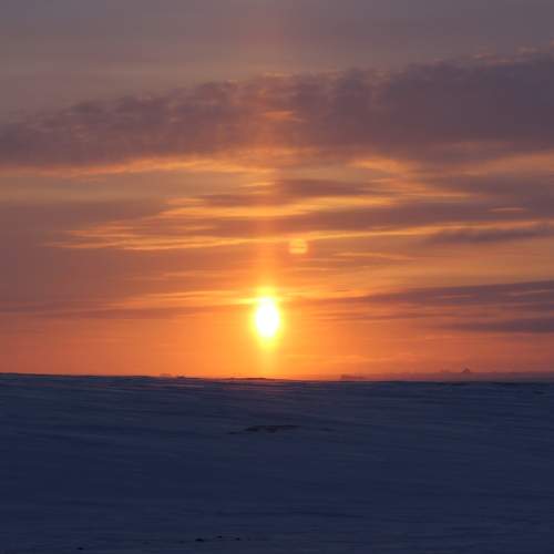 Photo #8220880
