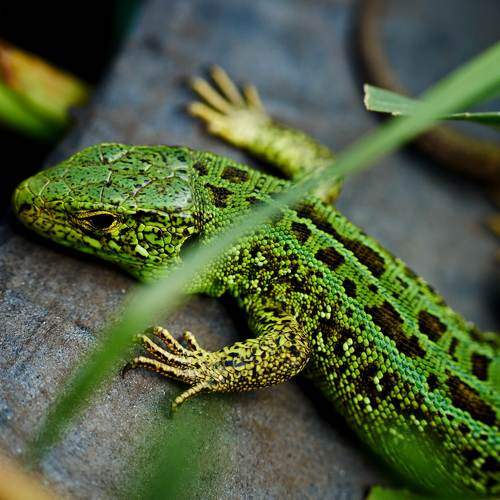 Photo #8221144