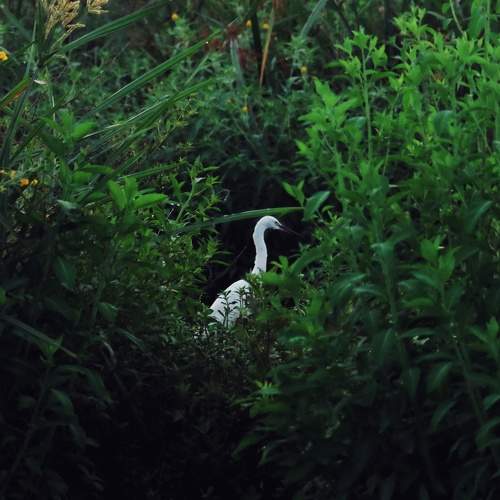 Photo #8221301