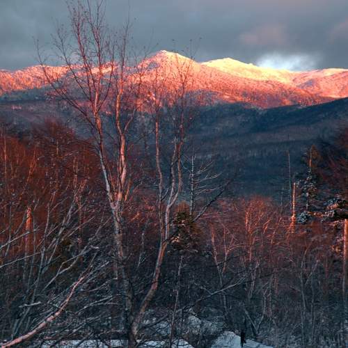 Photo #8221312