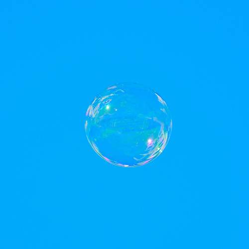 Photo #8221325