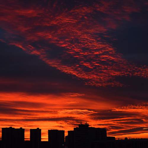 Photo #8221327