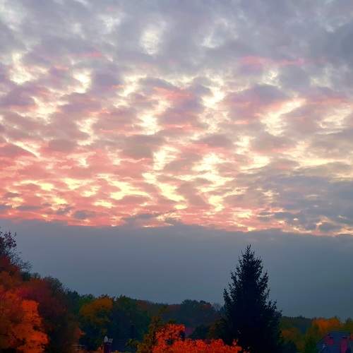 Photo #8221347