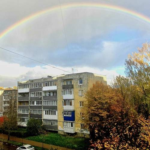 Photo #8221366