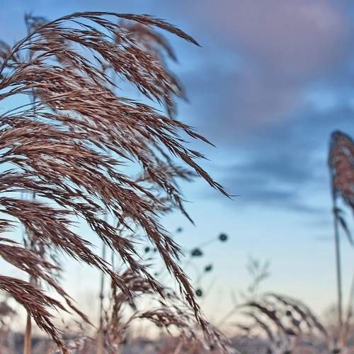 Photo #8221699
