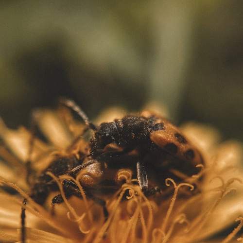 Photo #8221703