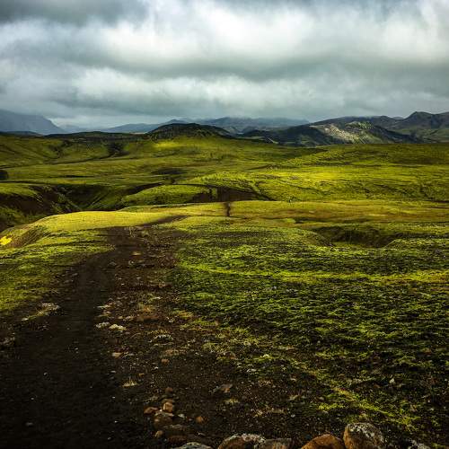 Photo #8222340