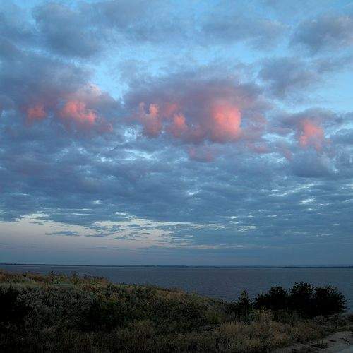 Photo #8222539