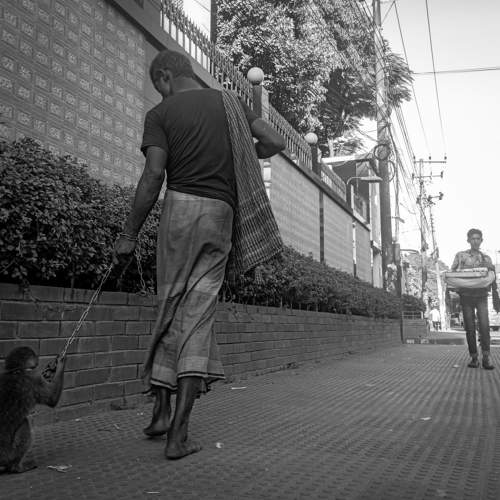 Photo #8223015