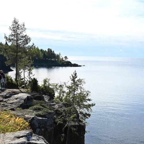 Photo #8223095