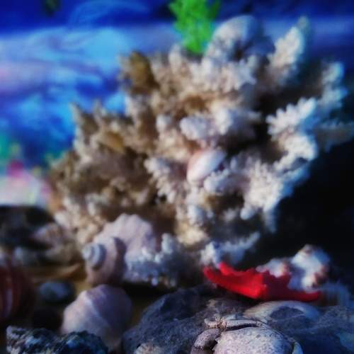 Photo #8223198