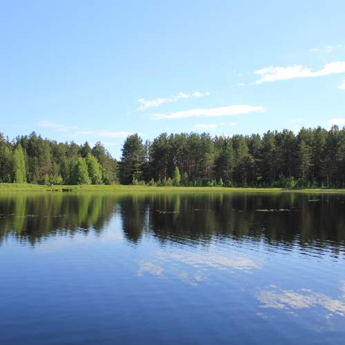 Photo #8223199