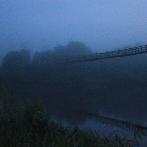 Photo #8223200