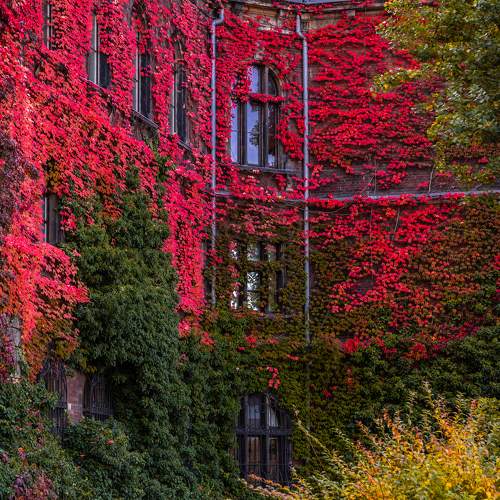Photo #8223238