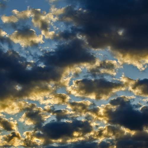 Photo #8223447
