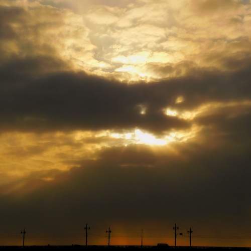 Photo #8223530