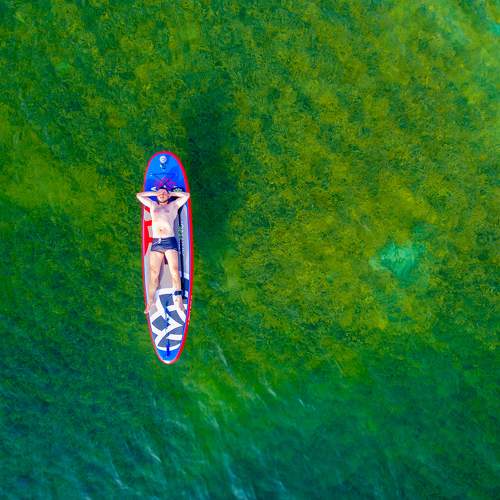 Photo #8223805