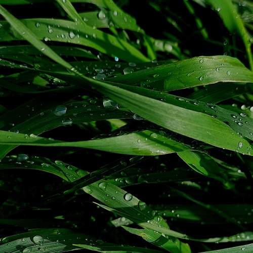 Photo #8224329